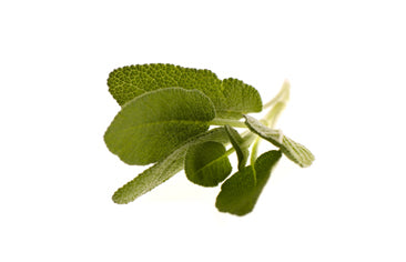 Capsule filler machine