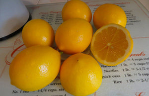 Lemons from our Tree - Empty Caps Company
